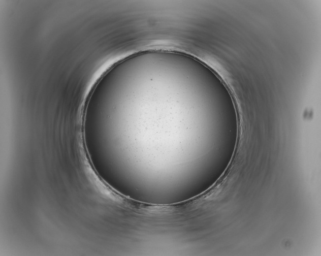 X0000093461392200710261011