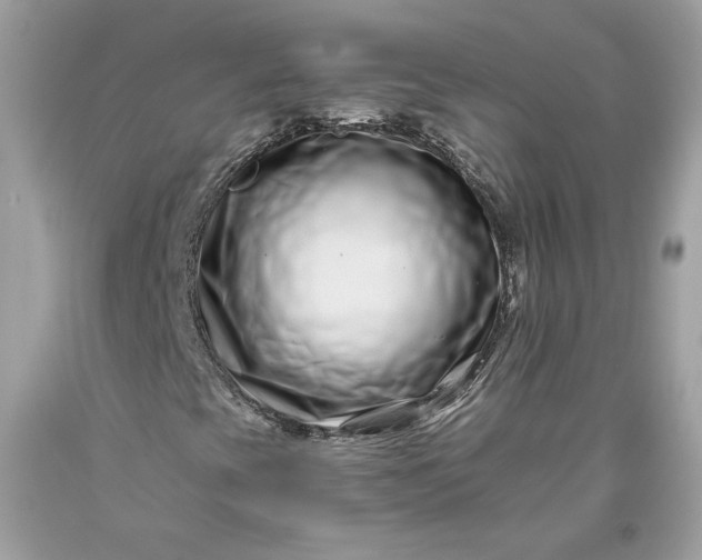 X0000093461393200710261010