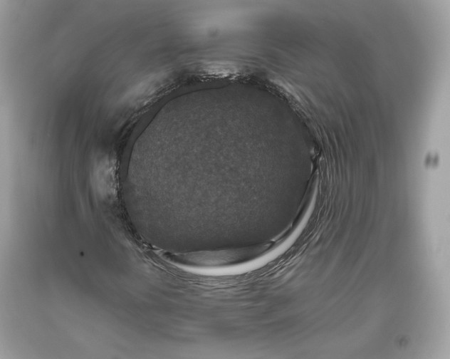 X0000093461394200710261010