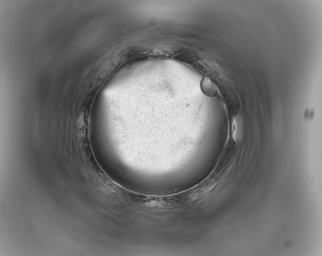 X0000093461395200710261010