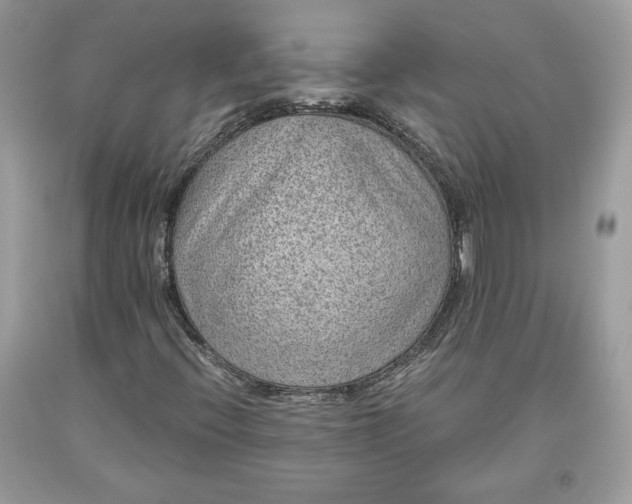 X0000093461396200710261010