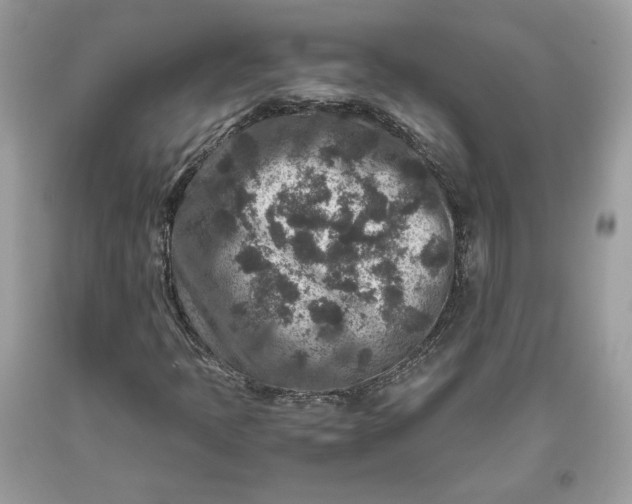 X0000093461397200710261010