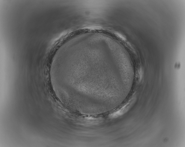 X0000093461398200710261010