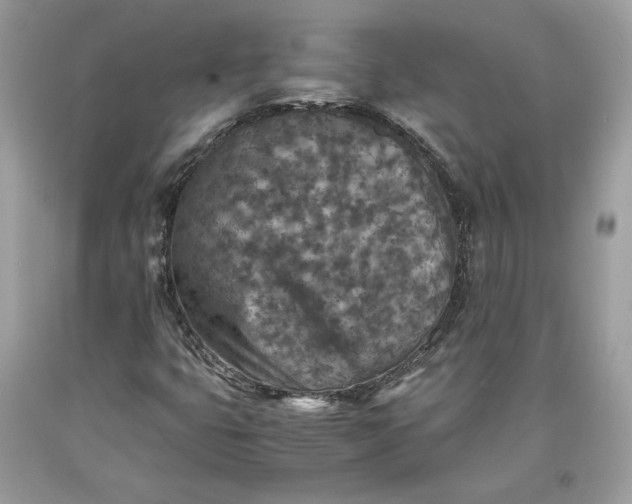 X0000093461399200710261010