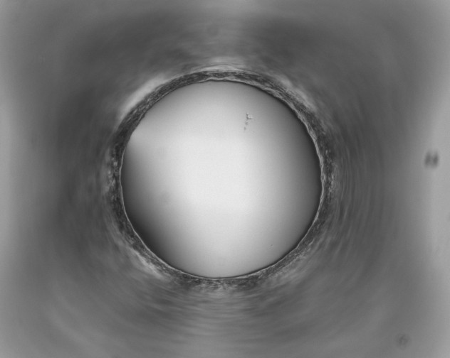 X0000093461400200710261010