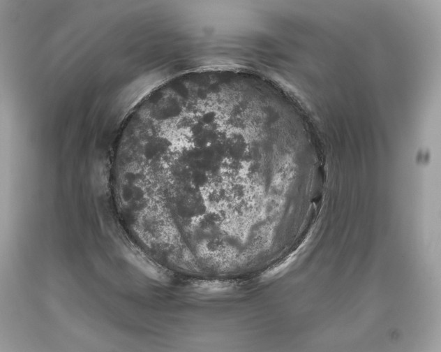 X0000093461401200710261010