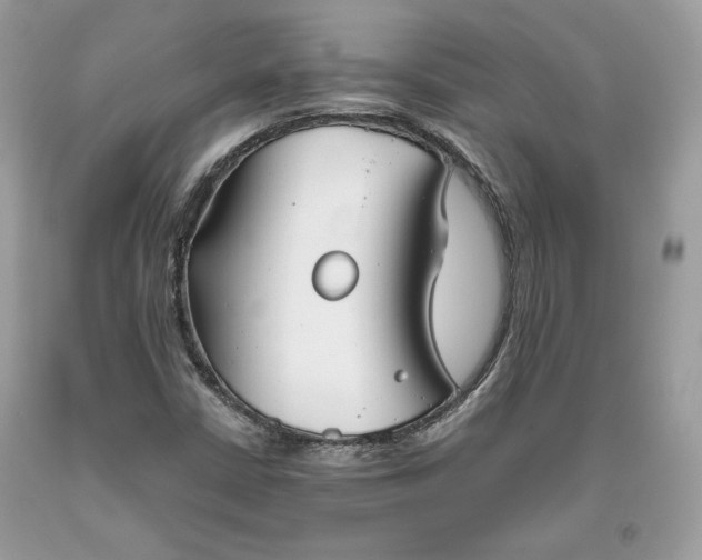 X0000093461402200710261010