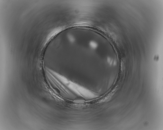 X0000093461405200710261010