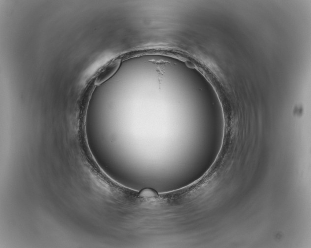 X0000093461406200710261010