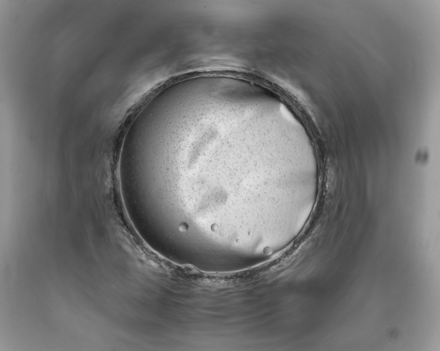 X0000093461407200710261010