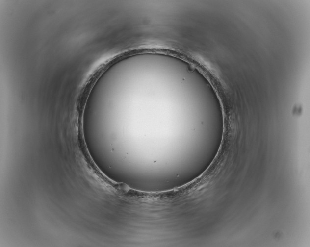 X0000093461408200710261010