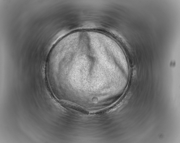 X0000093461409200710261011