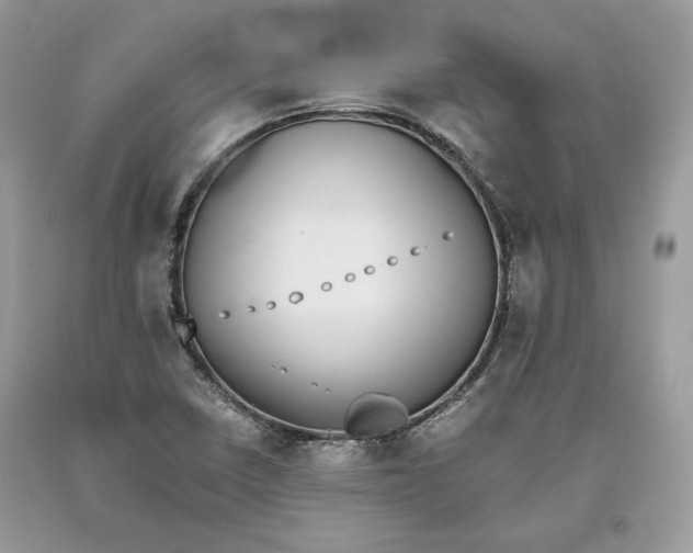 X0000093461410200710261011