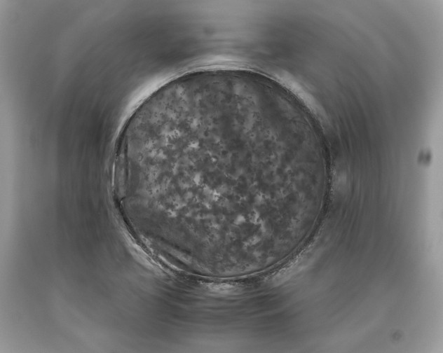 X0000093461413200710261011