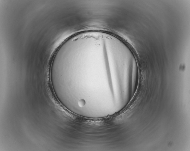 X0000093461415200710261011