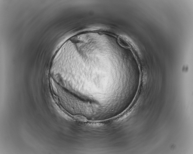 X0000093461417200710261011