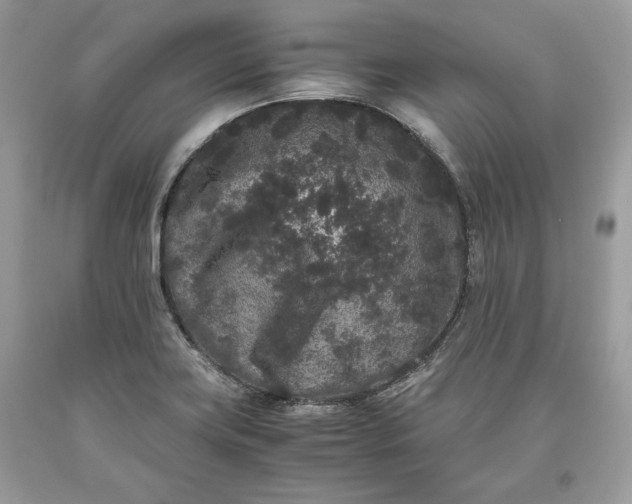 X0000093461419200710261011