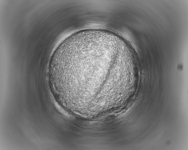 X0000093461421200710261011