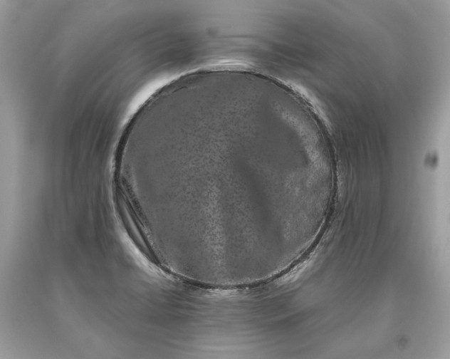 X0000093461422200710261011