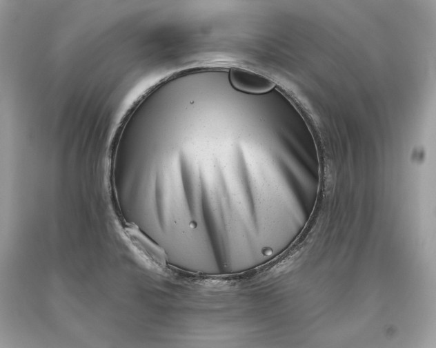 X0000093461424200710261011