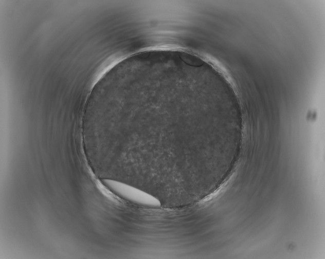 X0000093461425200710261011