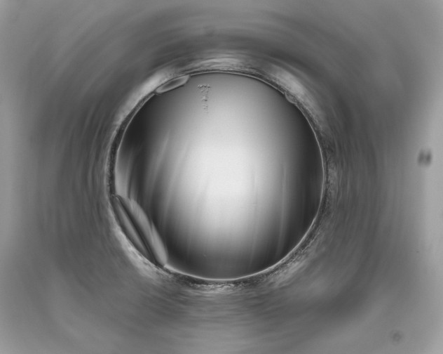 X0000093461426200710261011