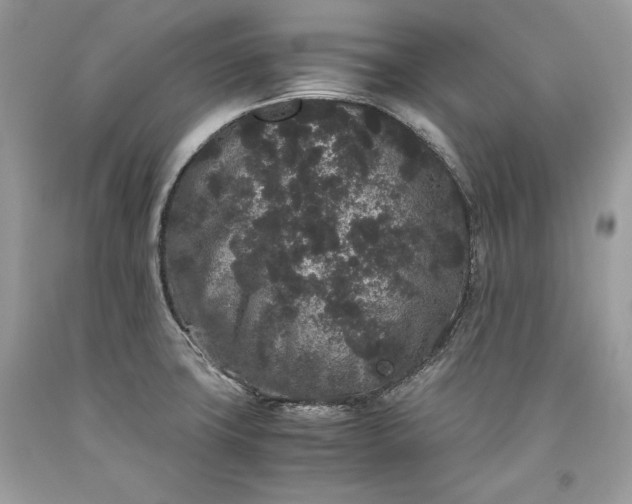 X0000093461427200710261011