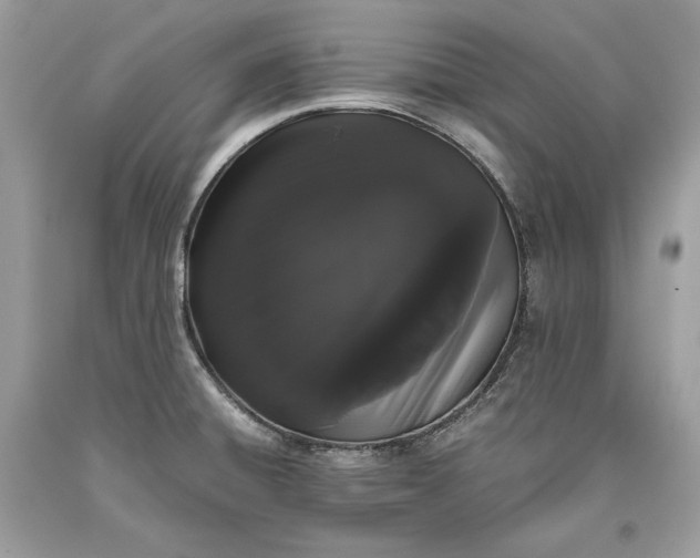 X0000093461428200710261011