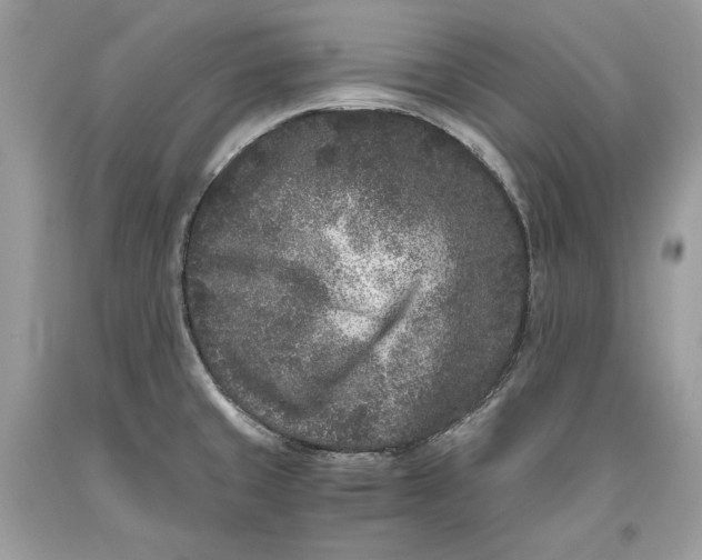 X0000093461429200710261011