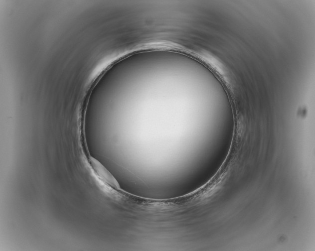 X0000093461430200710261011