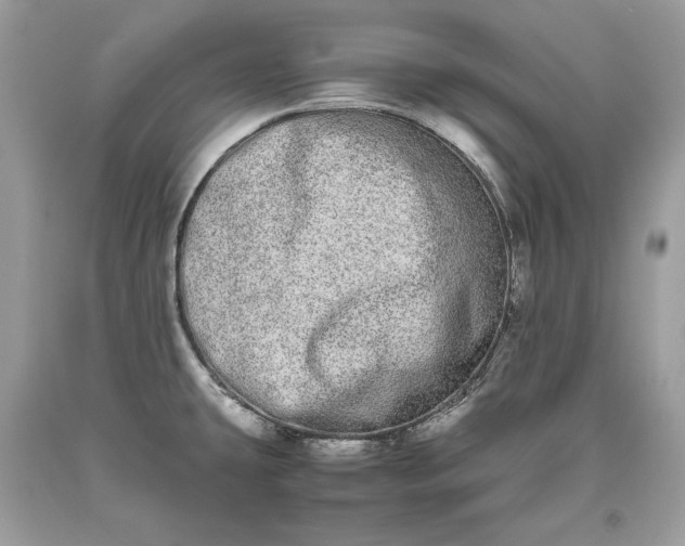 X0000093461431200710261011