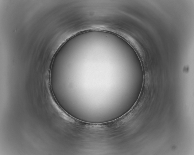 X0000093461432200710261011