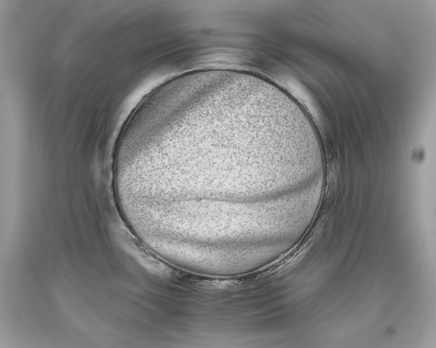 X0000093461435200710261011