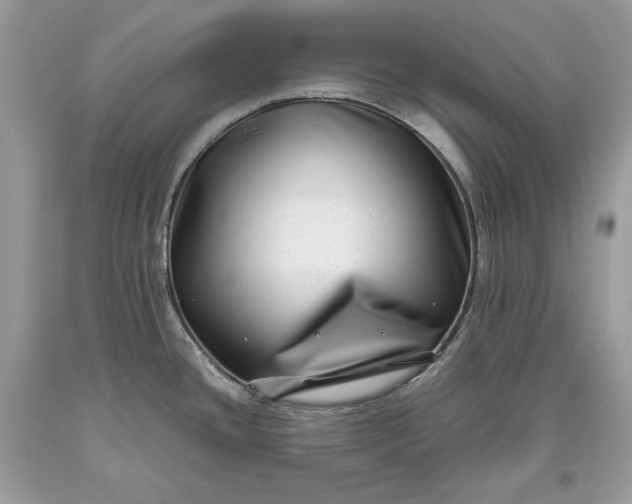 X0000093461436200710261011