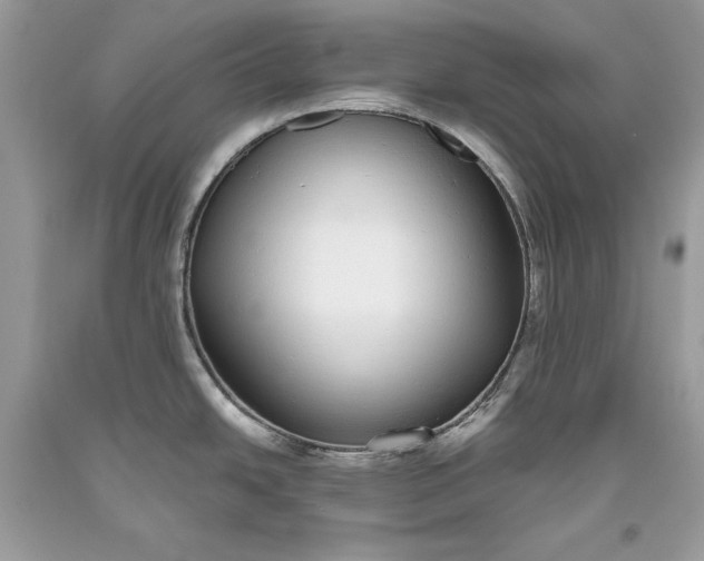 X0000093461438200710261011