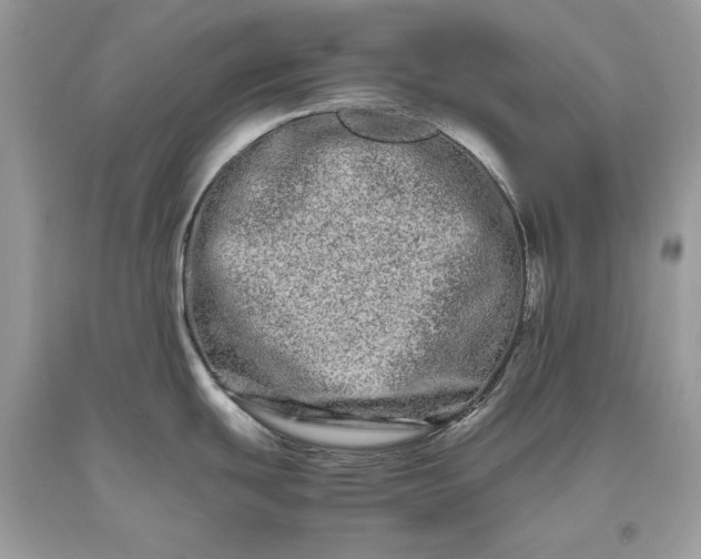 X0000093461439200710261011