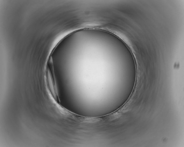 X0000093461440200710261011