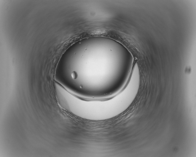 X0000093461441200710261010