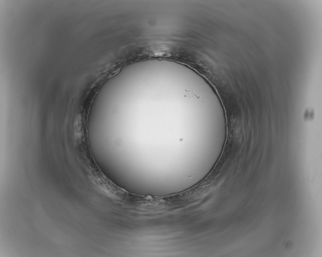 X0000093461442200710261010