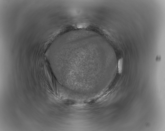 X0000093461443200710261010