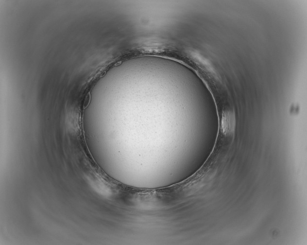 X0000093461444200710261010