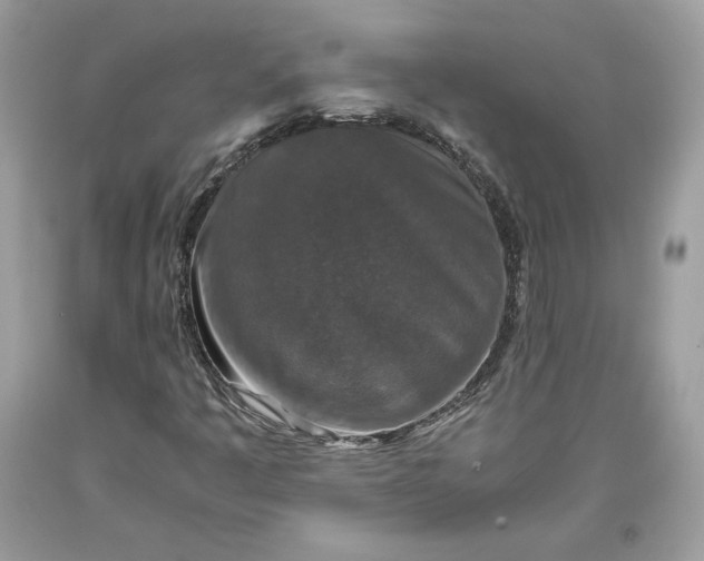 X0000093461445200710261010