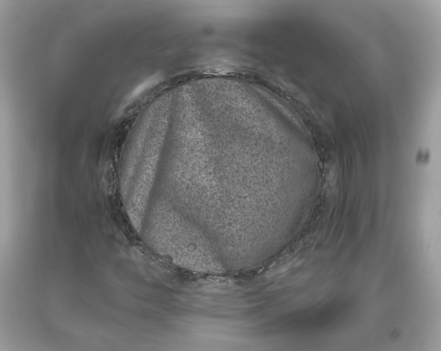 X0000093461446200710261010