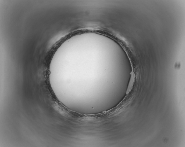 X0000093461448200710261010