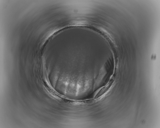 X0000093461449200710261010