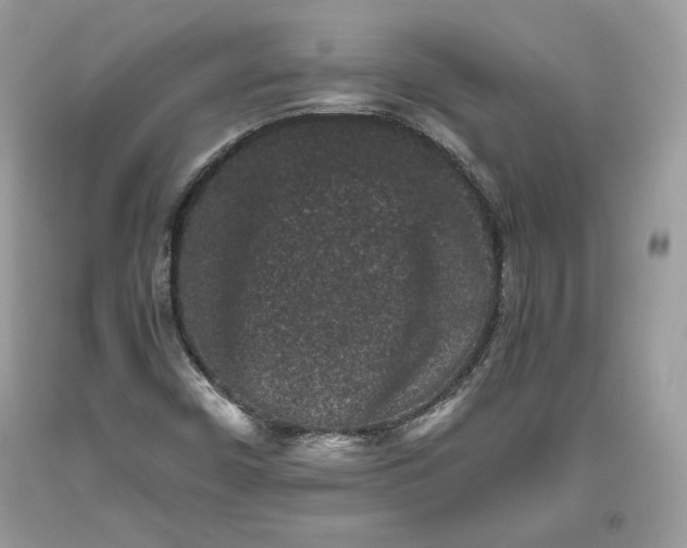 X0000093461450200710261010