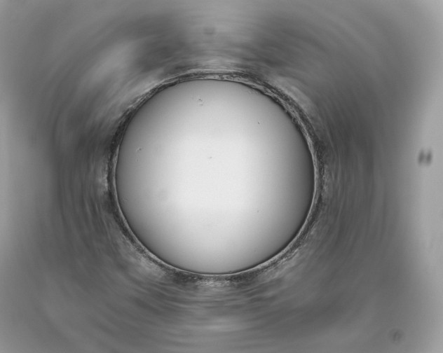 X0000093461451200710261010