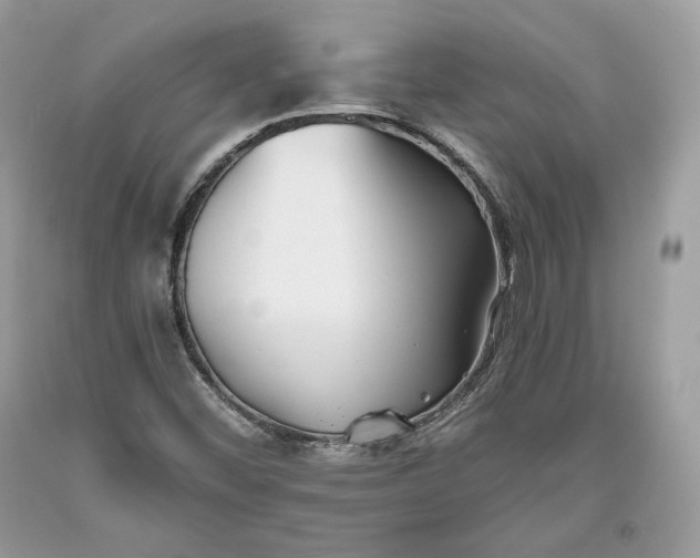 X0000093461452200710261010