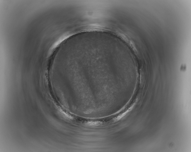 X0000093461453200710261010