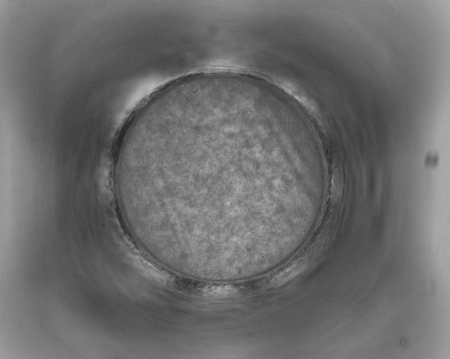 X0000093461454200710261010